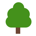 deciduous_tree