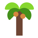 palm_tree