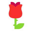rose