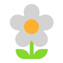 blossom