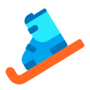 ski