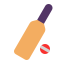cricket_game