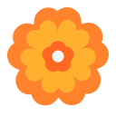 rosette
