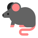 rat