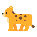 leopard
