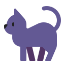 black_cat