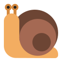 snail