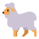 sheep