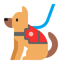 service_dog