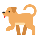 dog2