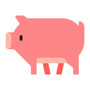 pig2