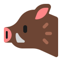 boar