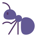 ant