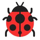 lady_beetle