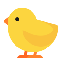 baby_chick