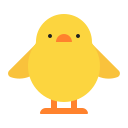 hatched_chick