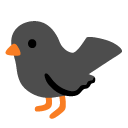 black_bird