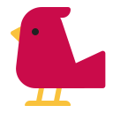bird