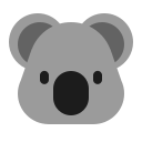 koala