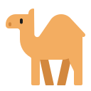 dromedary_camel