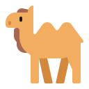 camel