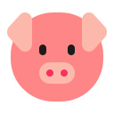 pig