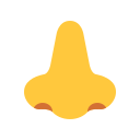 nose