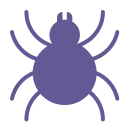 spider