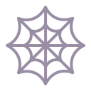 spider_web