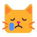 crying_cat_face