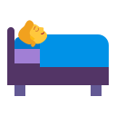 sleeping_bed