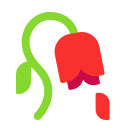wilted_flower