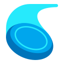 flying_disc