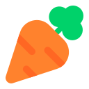 carrot