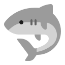 shark