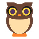 owl