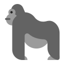 gorilla
