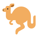 kangaroo