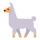 llama