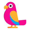 parrot