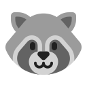 raccoon