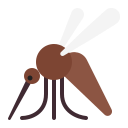 mosquito