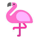 flamingo