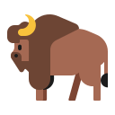 bison