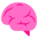 brain