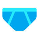 swim_brief