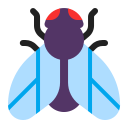 fly