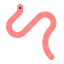 worm
