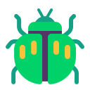 beetle