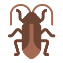 cockroach